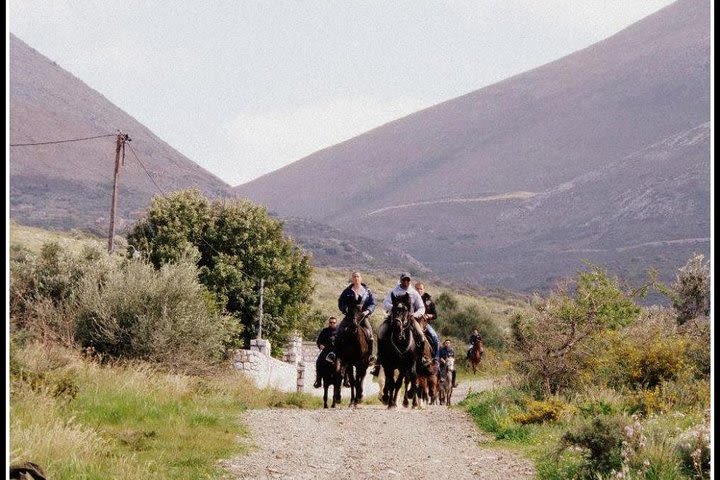 Horse Riding Excursions from Kalamata image