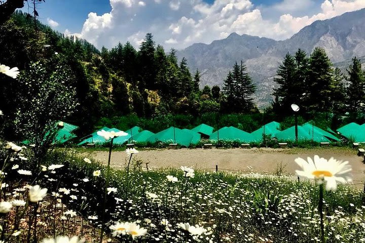 Camping in Mashobra, Shimla - Bonfire with Music image