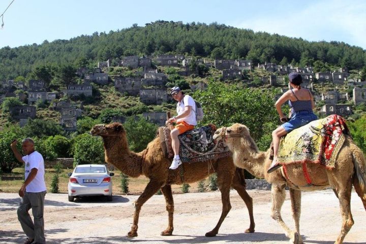 Fethiye Camel Riding Adventure image