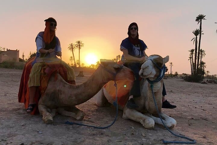 Sunset Camel Ride Tour in Marrakech Palm Grove image