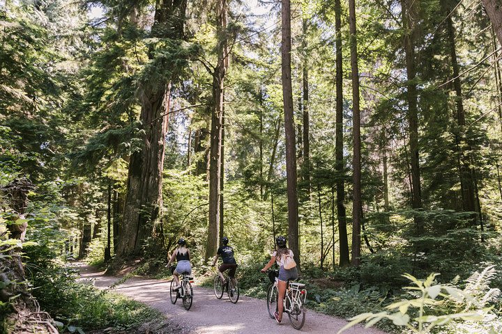 Stanley Park Bike Tour image