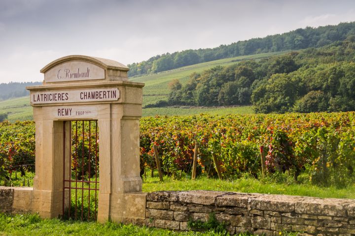 Full-Day Burgundy Wine Tour from Beaune (shared) image