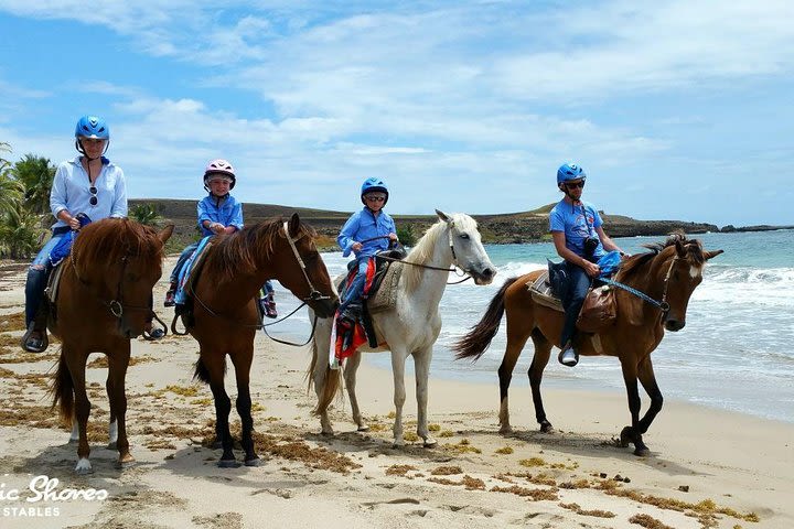 Horseback Riding at Atlantic Shores Beach image