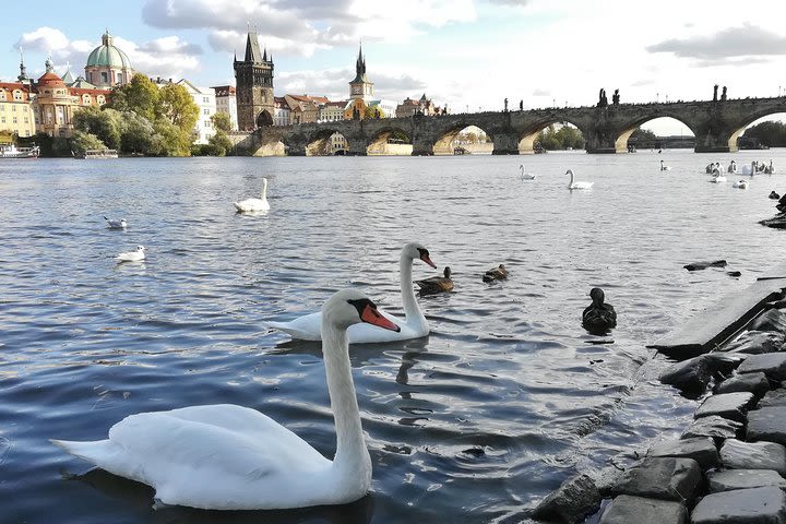 Prague and the best sites of the Czech Republic along the majestic Vltava River image