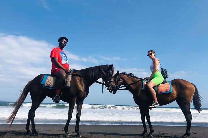 Bali Horse Riding In seminyak beach image