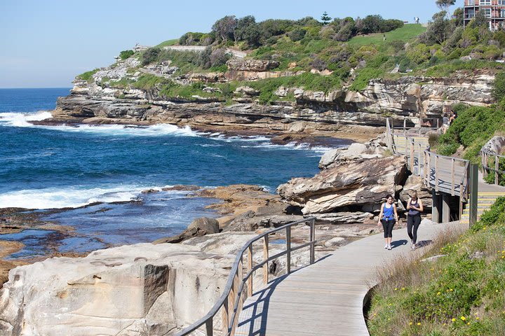 Sydney Half-Day City Highlights Tour image