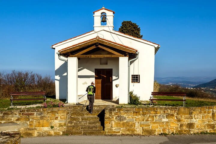 Wine & Bike Half Day Tour In The Vineyards Of Istria image