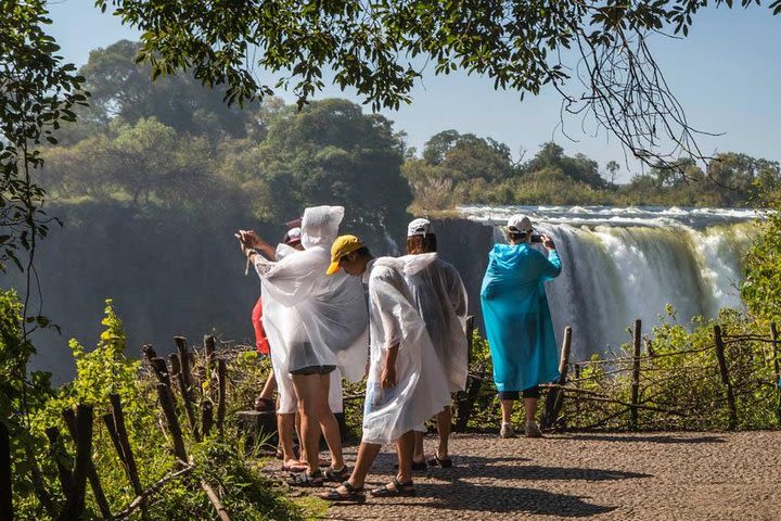 Guided Tour Of The Majestic Victoria Falls image