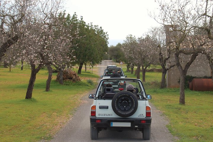 Jeep Trip Express: Discover Mallorca from the East Coast image