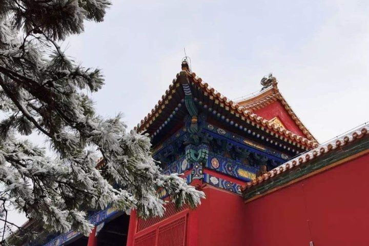 Beijing Layover Tour: Forbidden City, Temple of Heaven and Summer Palace image