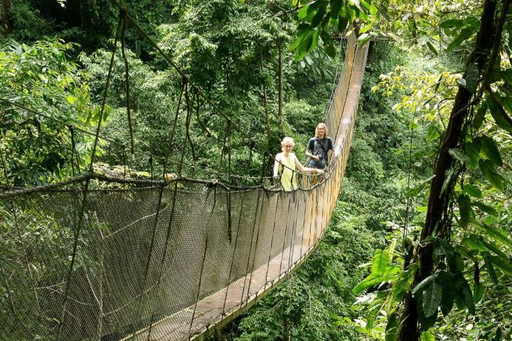 Rainmaker Park Hanging Bridges & Waterfalls Tour image