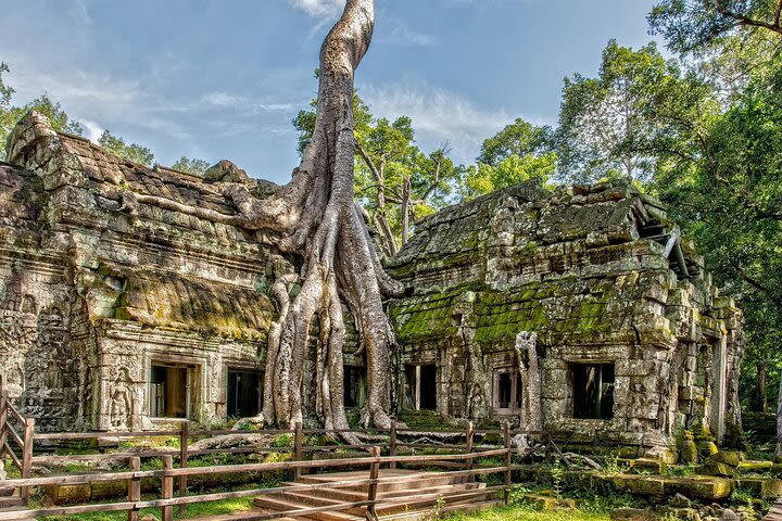 Main Angkor Complex Private Tour (Guided Tour with Private Driver) image