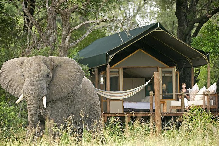 Couples 4-Day NON-SHARED Lux Private Safari Tour of Kruger Park from Johanesburg image