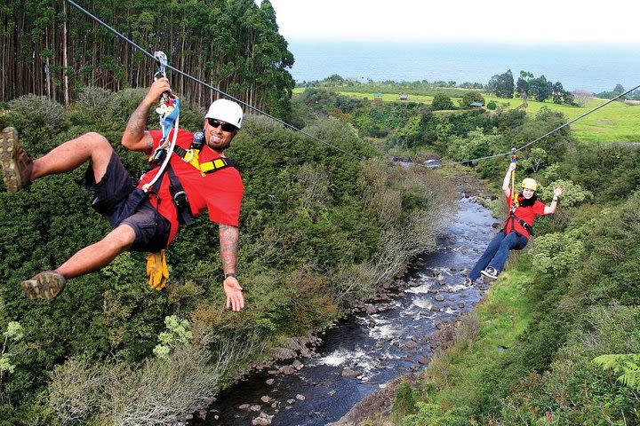 9-Line Zipline Experience image