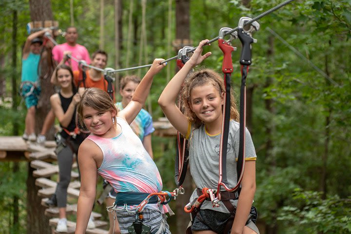 Morning Aerial Adventure Adult Course from Riegelwood image