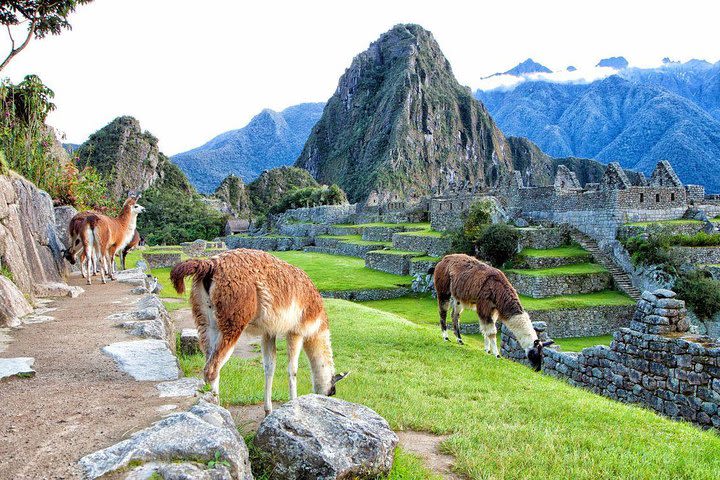 Machu Picchu By Car (2 Days) image