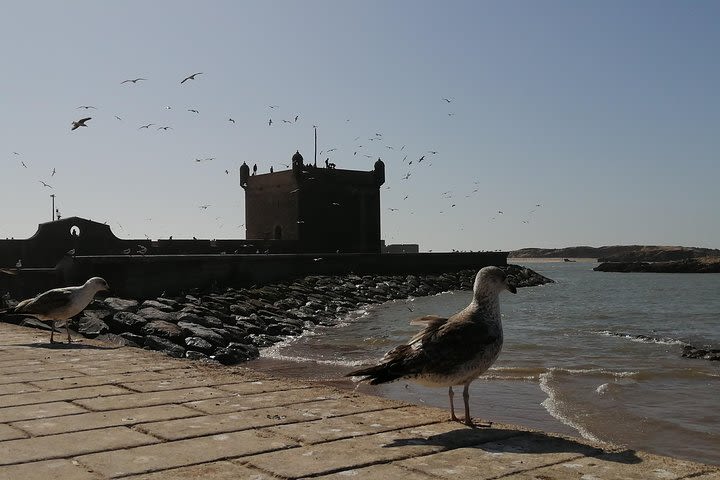 Private day trip from Marrakech to Essaouira image