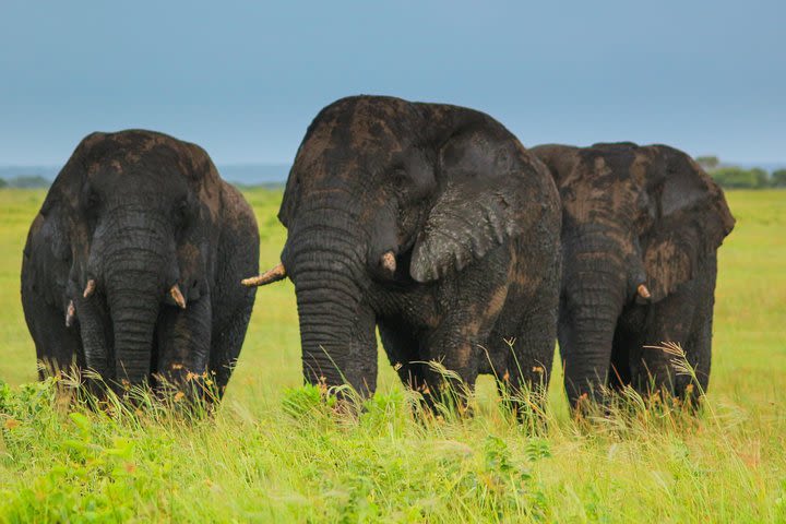 Full day Cape Vidal, iSimangaliso Wetland Safari image