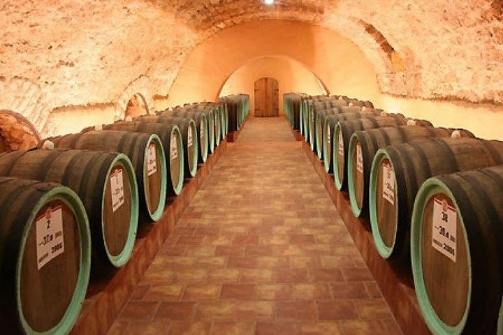 Full-Day Shabo Wine Culture Center Private Tour in Odessa image