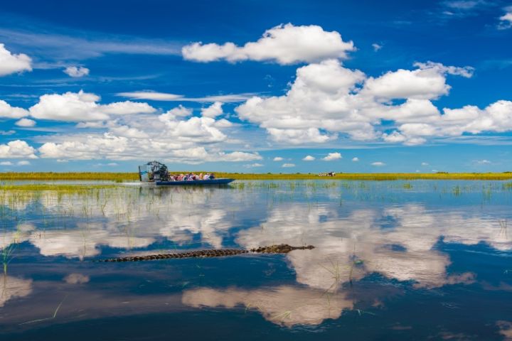 Everglades Express from Fort Lauderdale image