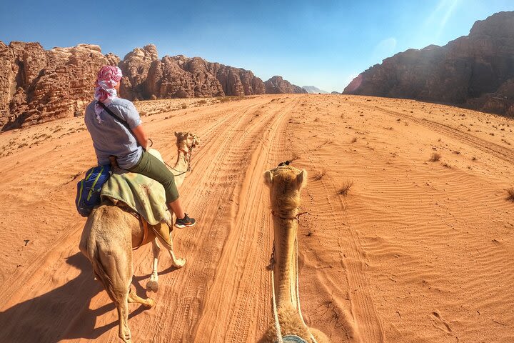 Camel Tours | Wadi Rum Desert image