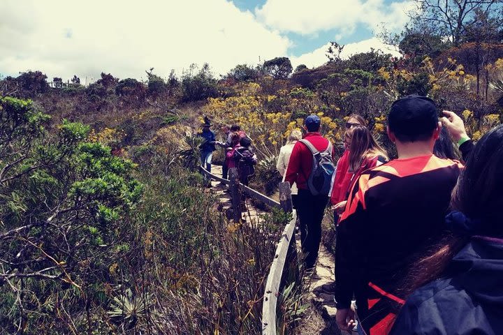 Full-Day Guatavita and Salt Cathedral - Daily and group tour image