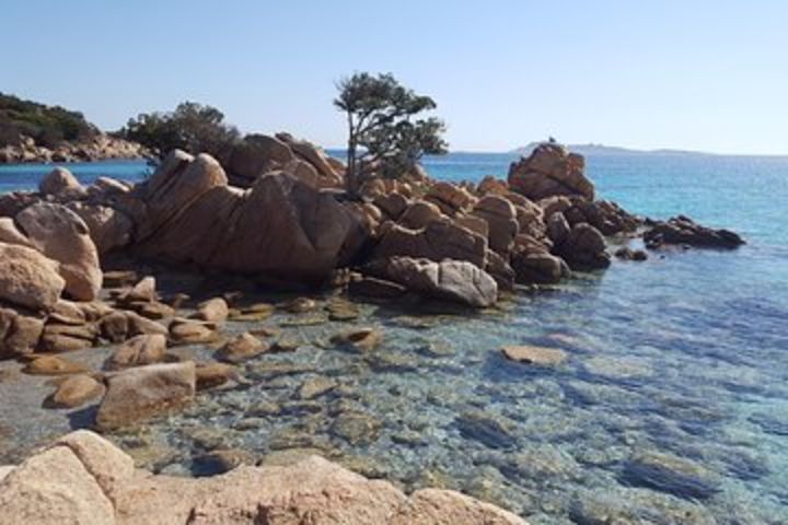 Gallura Experience: archaeology, wine tasting and walking tour. image