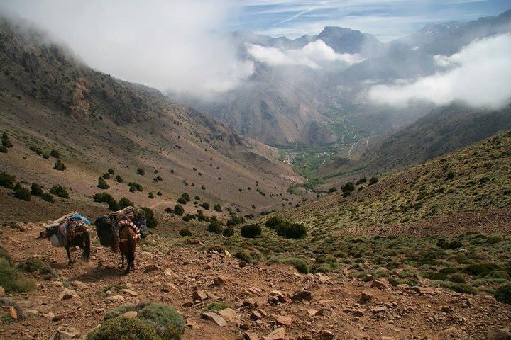 Morocco Day Trip to Atlas Mountains and 3 Valleys image