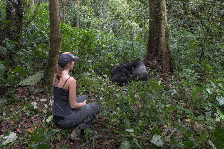 6-Day Gorilla Trekking and Kampala City Tours image