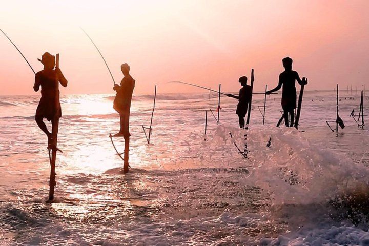 Sri Lanka sightseeing tours {7N/8D} with driver, vehicle and H/B accommodations image