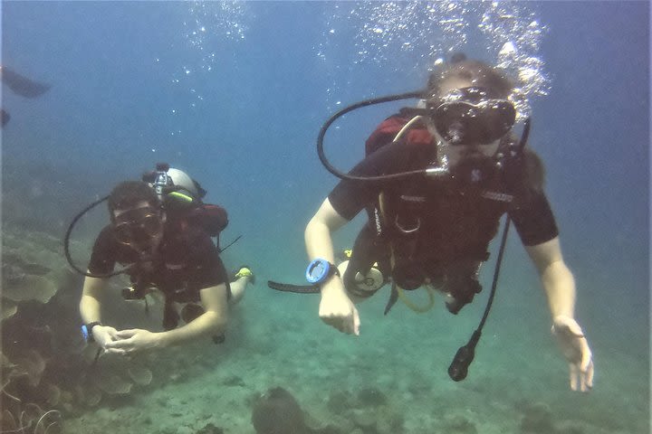 PADI Discover Scuba Dive Experience image