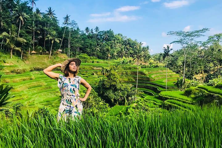 Best Of Ubud : Natural, Traditional and Cultural Combination Trip image