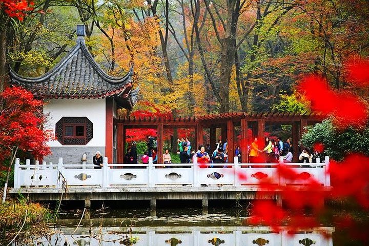  Half-Day Nanjing City Private Flexible Tour with Lunch or Dinner Option image