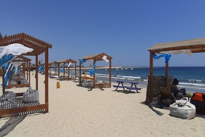 Abu Dabbab Beach Full Day Trip Snorkeling with Turtles image