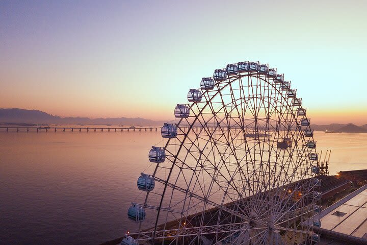 Rio de Janeiro Ferris Wheel Ticket image