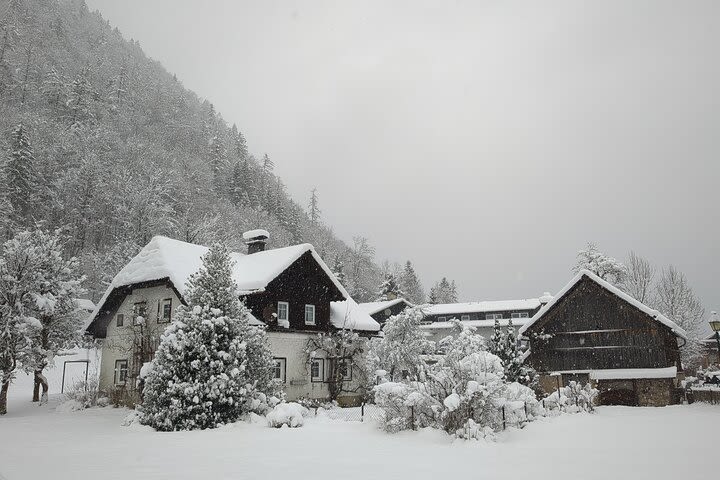 Hallstatt Small-Group Day Trip from Vienna  image