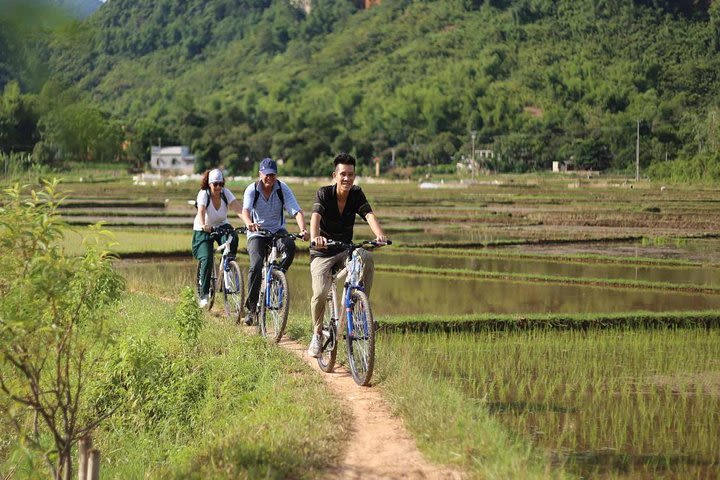 Hanoi Travel to Hoa Lu - Tam Coc 1 Day Trip ( Halong Bay in Land ) image