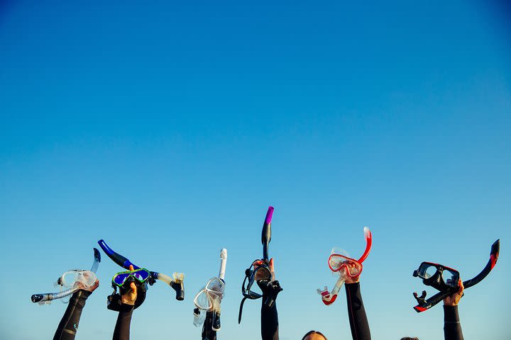 Snorkel Experience in Lanzarote image