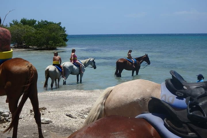 Horseback N Swim & Bamboo Rafting From Ocho Rios, Montego Bay & Negril image