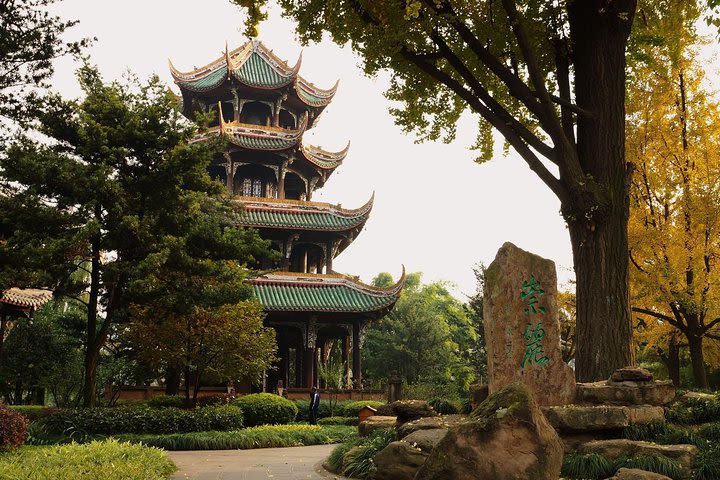 Private Day Tour of Chengdu Giant Panda and Chinese Kung Fu Learning image