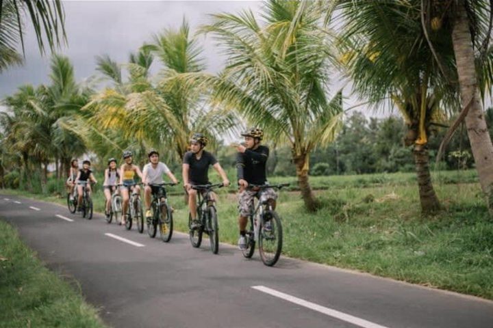 Best of Ubud Cycling and Jungle Swing With Lunch - Ubud, Indonesia image