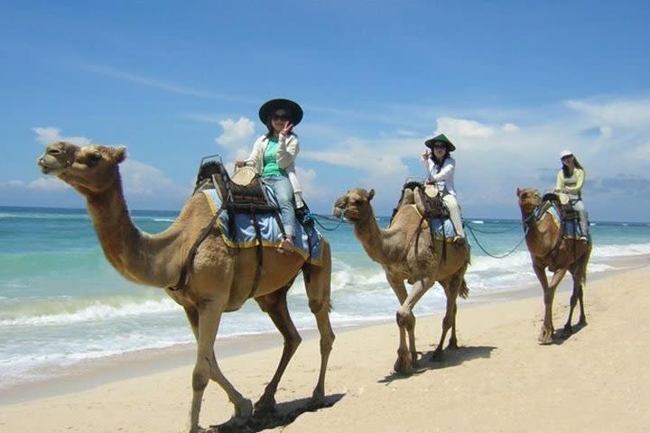 Best Private Trip Camel Safari One Hour In White Sand Beach And Uluwatu temple image