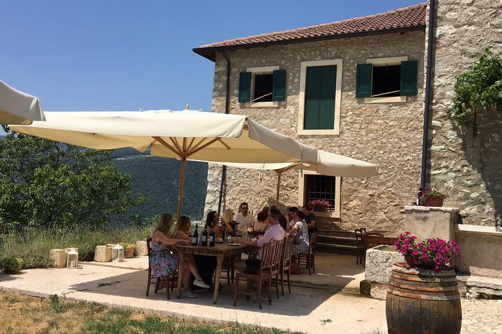 Discover DOP Olive Oil image