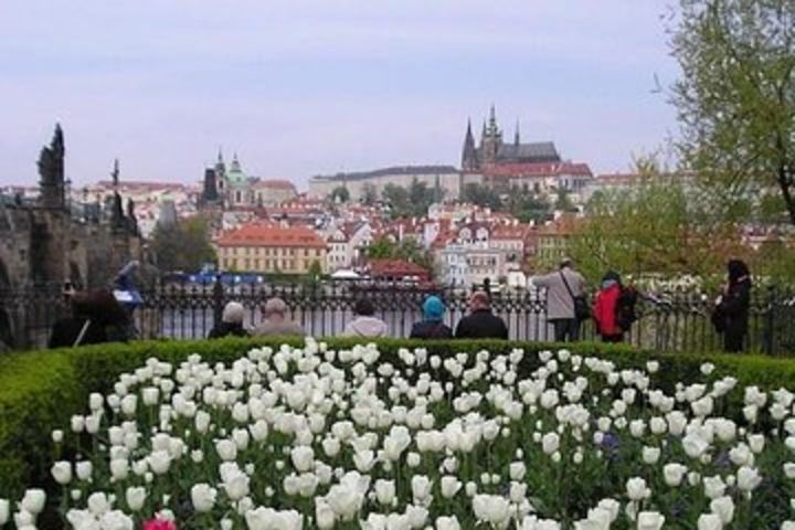 Your own guide for Revealing Prague Castle Tour image