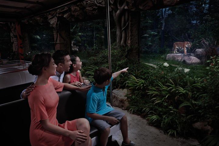 Night Safari Singapore with transfers image