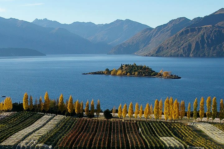 Wine Tour with Wine Tasting from Wanaka image