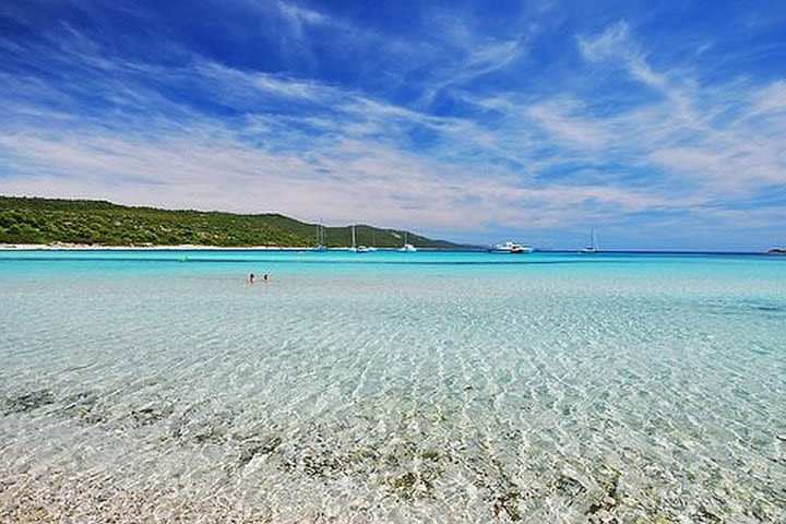 From Zadar: Full Day Public Saharun Beach Tour image