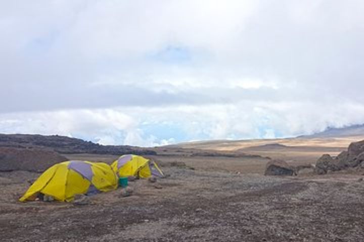 Kilimanjaro Climb via Umbwe Route- 8 Days image