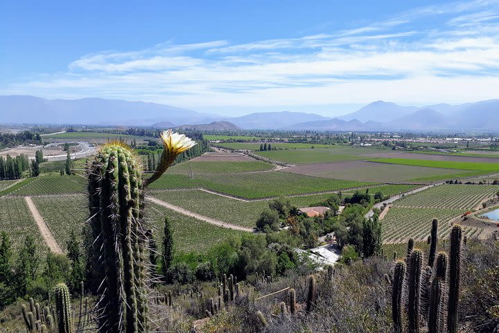 Full day small group tour Archeology, Wine and Portillo ski resort  image