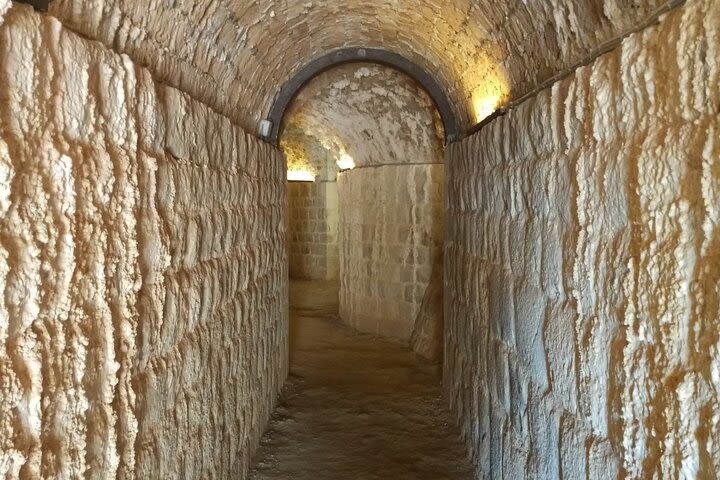 Small-Group Tour of the Hidden Corners of Dubrovnik City Walls image